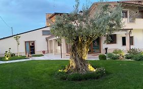 Balneum Rooms & Spa